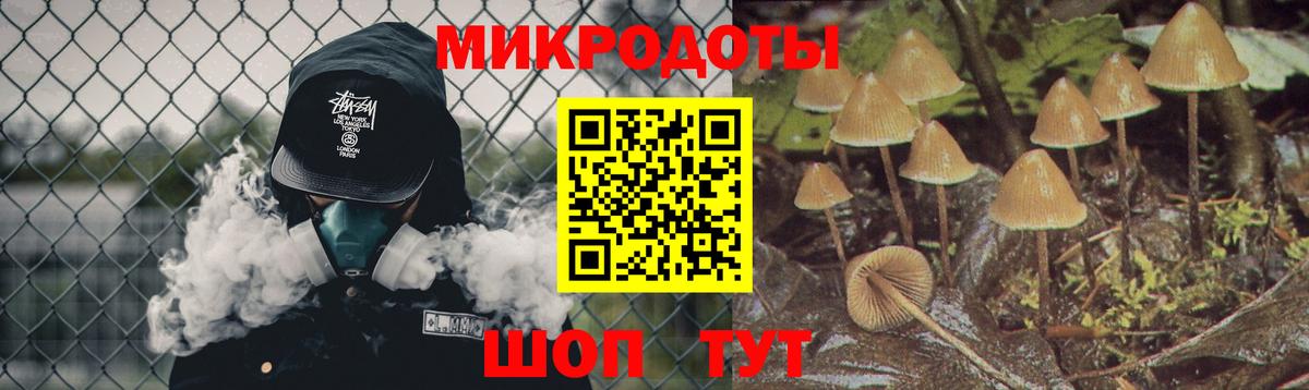 Канск  Галлюциногенные грибы Psilocybe  Псилоцибиновые грибы Psilocybine cubensis  Вход с VPN 